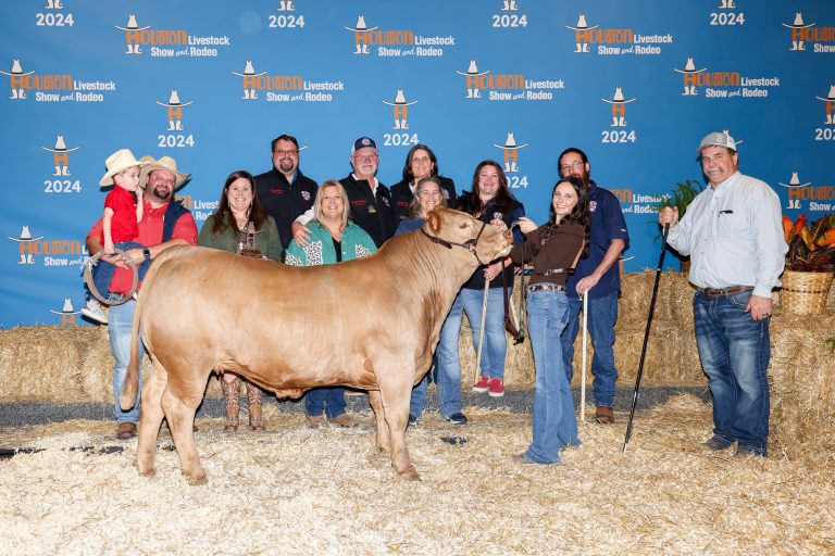 2024 HLSR Steer Auction